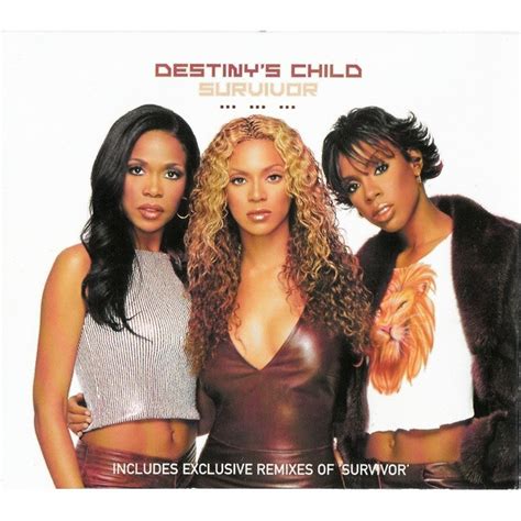 Destiny'S Child Survivor (Vinyl Records, LP, CD) on CDandLP