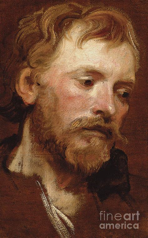 A Bearded Man A Study Painting By Anthony Van Dyck Fine Art America