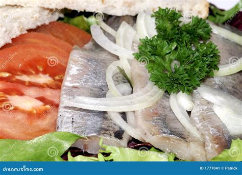 Raw herring with lettuce stock image. Image of eating - 1777041