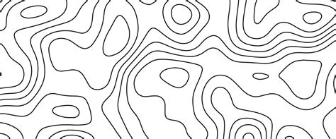 Abstract Blank Detailed Topographic Contour Map Subtle White Vector ...