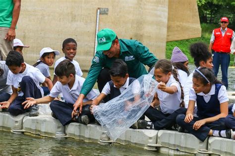 Liberados Mil Alevines De Cachama Y Coporo En El Embalse La Mariposa