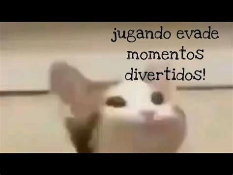 Momentos Divertidos Evade Youtube