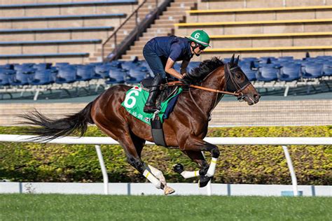 【香港ヴァーズ】日本馬がv3を目指す！レーベンスティール、ゼッフィーロ、ジェラルディーナ 3頭がエントリー｜テレ東スポーツ：テレ東