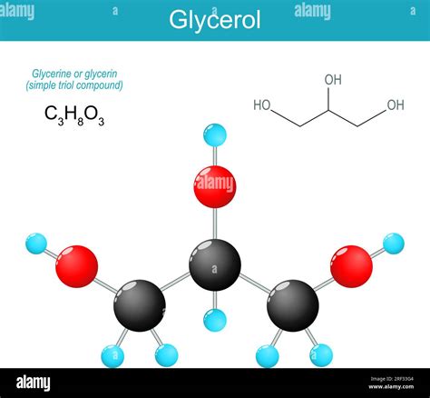 Glycerol molecule. molecular chemical structural formula and model of glycerine. Trihydroxy ...