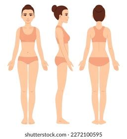 Female Body Reference Photos, Images & Pictures | Shutterstock