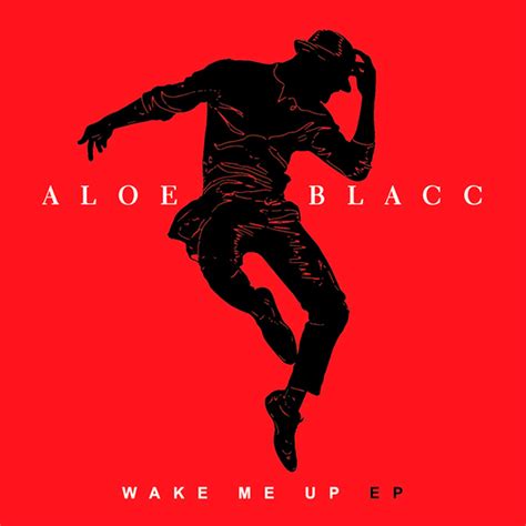 Aloe Blacc Wake Me Up Official Video