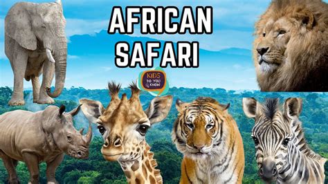 African Animals Names And Sounds For Kids African Animals For