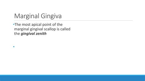 Gingiva Ppt