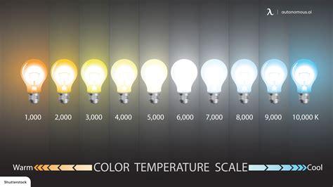 White Light Vs Yellow Light Which One Is Better For Eyes