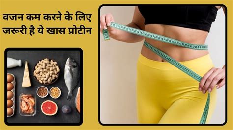 वजन कम करने के लिए रोजाना कितना Protein का सेवन करना है जरूरी गर्मी