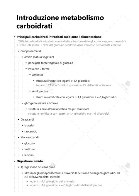 Metabolismo Carbo Integrazione Appunti Sbobine E Appunti Biochimica 2