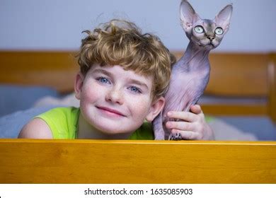 Стоковая фотография 1635085924 Naked Cat Boy Sphinx Bald Cat