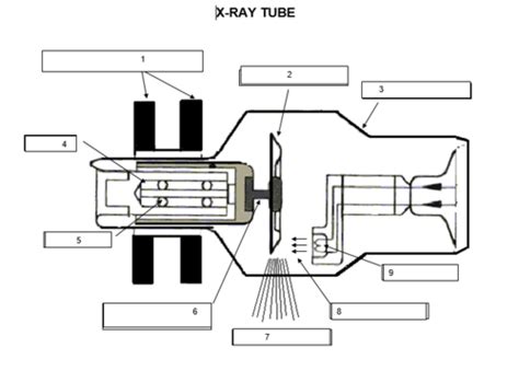 X Ray Tube Diagram Flashcards Quizlet