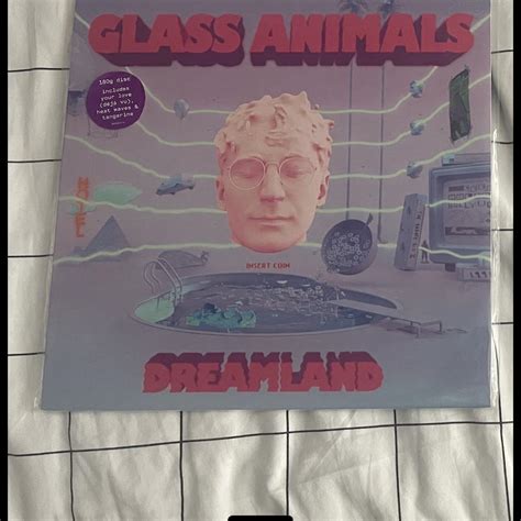 Glass Animals Dreamland LP Has scratches but plays... - Depop