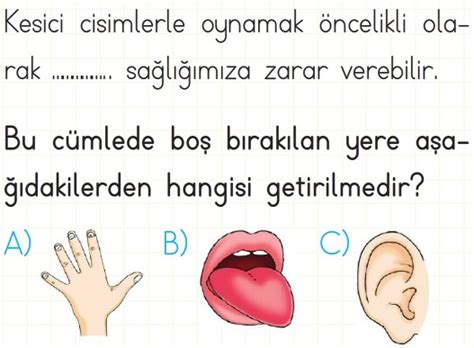 Duyu Organlar M Z Ve G Revleri Test Z S N F Fen Bilimleri Testleri