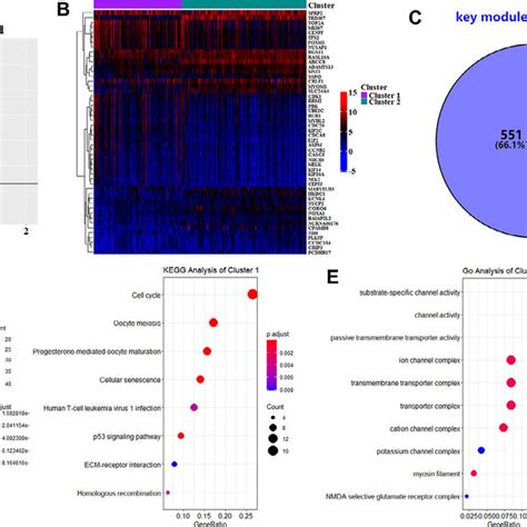 Differential Expressed Genes Degs Analysis For Idh Mutant Glioma