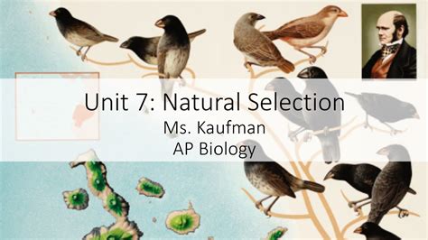 Ap Biology Unit 7 Video 5 Youtube