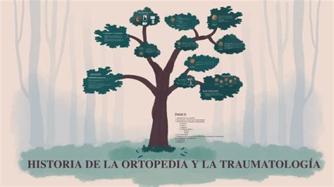 Historia De La Ortopedia Y La Traumatolog A By Helena L Pez On Prezi