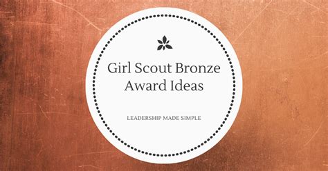 Girl Scout Bronze Award Ideas