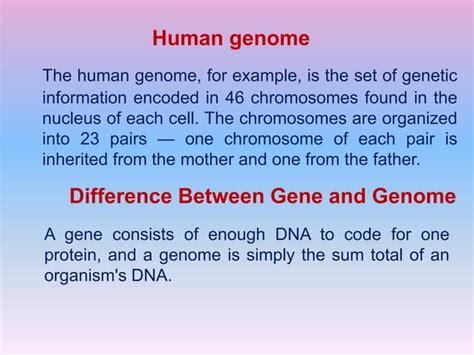 Genome concept, types, and function | PPT