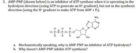 Pnp Shown Below Is An Inhibitor Of Atp Synthase Chegg