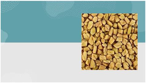 Fenugreek Seeds For Breast Enlargement 3