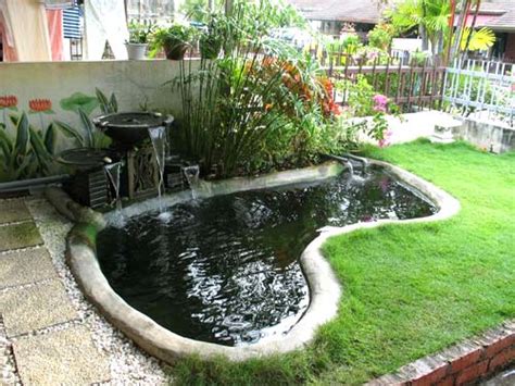 Koi Pond – Filter System and Pond Maturity – KYspeaks