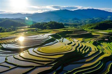 Premium AI Image | rice terrace aerial shot image of beautiful terrace ...