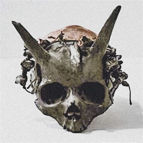 Ancient Giant Skull With Horns Discovered During An Archaeological