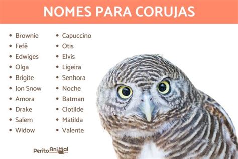 7 Ideias De Nomes Pro The Sims 4 Em 2024 Nomes De Personagens Lista De