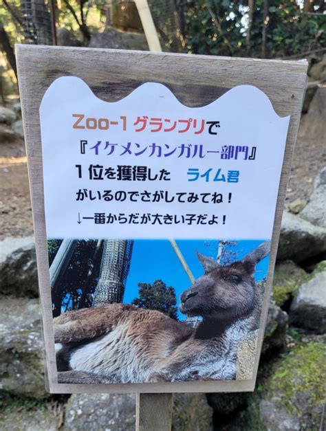 Izu Shaboten Zoo A Small Paradise Real Japan Guide