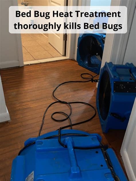 Banish Bed Bugs With Heat Treatments Reliable Solutions For A Bed Bug