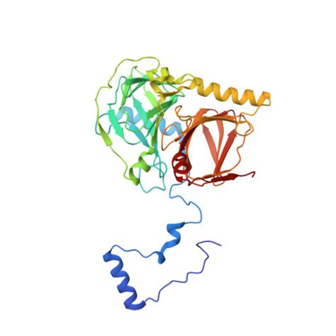 RCSB PDB 4FAG Crystal Structure Of The Salicylate 1 2 Dioxygenase