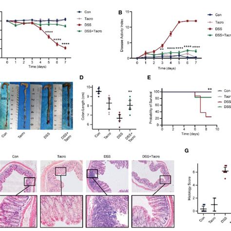 Tacrolimus Alleviated DSS Induced Colitis In Mice A B Body Weight