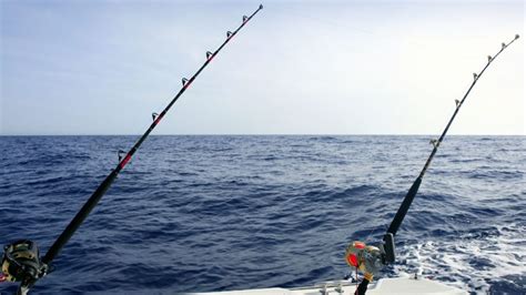 The Complete Beginner S Guide To Saltwater Fishing Outdoor Zone