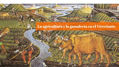 Las Actividades Economicas Del Virreinato Agricultura Historia Eroppa