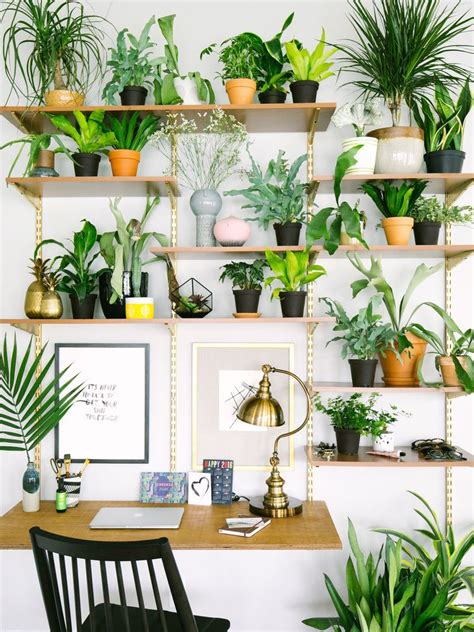 Gorgeous Ways To Decorate With Plants Old Brand New Indoor