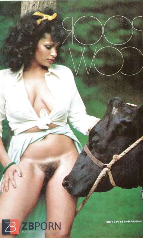 VANESSA DEL RIO SOLO PICTURES Yesterday And Today ZB Porn