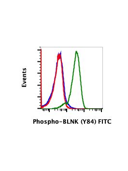 Phospho BLNK Tyr84 H4 Rabbit MAb FITC Conjugate Abwiz Bio