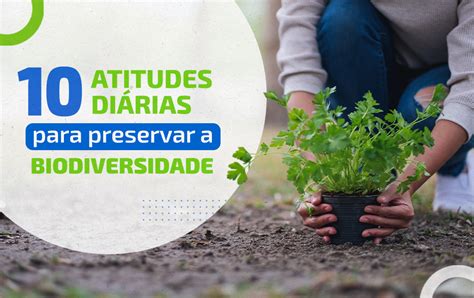 10 Atitudes Para Preservar A Biodiversidade AMA