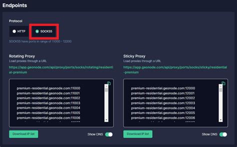 A Beginners Guide To SOCKS5 Proxies