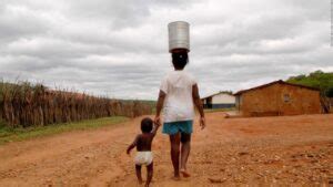 FAO América Latina ante un panorama muy preocupante por las altas cifras de hambre y obesidad