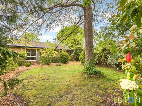 Atherton Street Downer Act Realestate Au