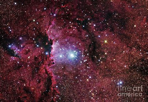 Emission Nebula Ngc Photograph By Robert Gendler Science Photo