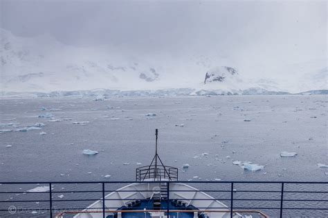 Crossing The Drake Passage Tips To Survive The Adventure