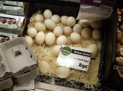 Dozen Duck Eggs Dutch Meadows Farm, 54% OFF | www.elevate.in