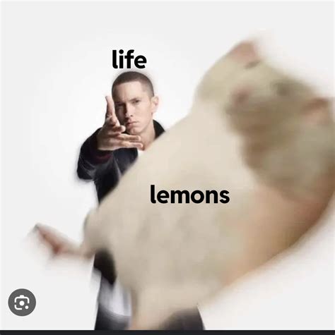 When life gives you lemons. | /r/memes | Eminem Throwing Things | Know ...