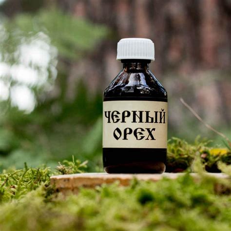 Масло черного ореха: полезные свойства, инструкция по применению ...