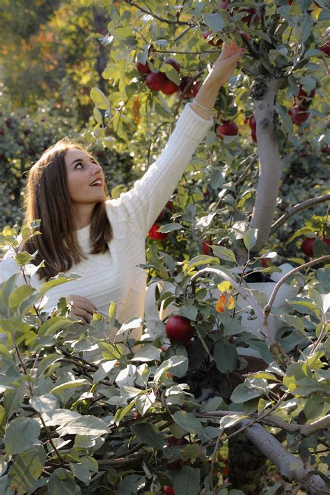 6 Apple Orchards to Visit During New England Fall - The Coastal Confidence