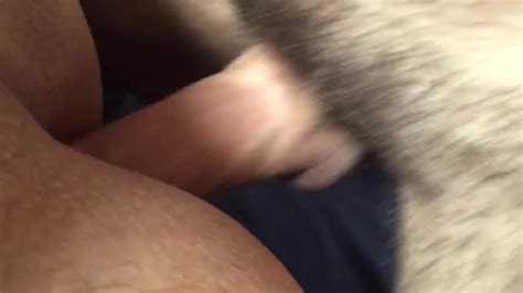 Hits Gone Gay Man Man Porn XHamster